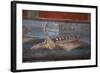 Italy, Naples Museum, from Pompeii, Isis Temple, Naumachia, Representation of a Naval Battle-Samuel Magal-Framed Photographic Print