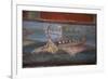 Italy, Naples Museum, from Pompeii, Isis Temple, Naumachia, Representation of a Naval Battle-Samuel Magal-Framed Photographic Print