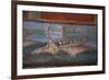 Italy, Naples Museum, from Pompeii, Isis Temple, Naumachia, Representation of a Naval Battle-Samuel Magal-Framed Photographic Print