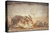 Italy, Naples, Naples Museum, from Herculaneum, House of Stag, Rabbit and Figs-Samuel Magal-Stretched Canvas