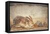 Italy, Naples, Naples Museum, from Herculaneum, House of Stag, Rabbit and Figs-Samuel Magal-Framed Stretched Canvas