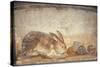 Italy, Naples, Naples Museum, from Herculaneum, House of Stag, Rabbit and Figs-Samuel Magal-Stretched Canvas