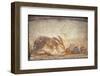 Italy, Naples, Naples Museum, from Herculaneum, House of Stag, Rabbit and Figs-Samuel Magal-Framed Premium Photographic Print