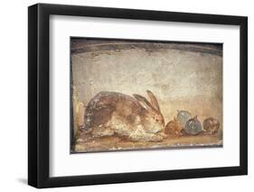 Italy, Naples, Naples Museum, from Herculaneum, House of Stag, Rabbit and Figs-Samuel Magal-Framed Premium Photographic Print