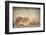 Italy, Naples, Naples Museum, from Herculaneum, House of Stag, Rabbit and Figs-Samuel Magal-Framed Premium Photographic Print
