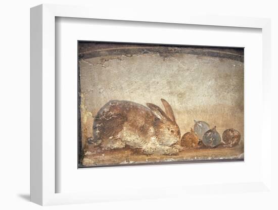 Italy, Naples, Naples Museum, from Herculaneum, House of Stag, Rabbit and Figs-Samuel Magal-Framed Premium Photographic Print