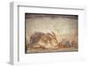 Italy, Naples, Naples Museum, from Herculaneum, House of Stag, Rabbit and Figs-Samuel Magal-Framed Premium Photographic Print