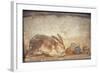 Italy, Naples, Naples Museum, from Herculaneum, House of Stag, Rabbit and Figs-Samuel Magal-Framed Photographic Print