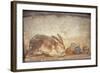 Italy, Naples, Naples Museum, from Herculaneum, House of Stag, Rabbit and Figs-Samuel Magal-Framed Photographic Print