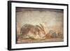 Italy, Naples, Naples Museum, from Herculaneum, House of Stag, Rabbit and Figs-Samuel Magal-Framed Photographic Print