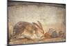 Italy, Naples, Naples Museum, from Herculaneum, House of Stag, Rabbit and Figs-Samuel Magal-Mounted Photographic Print