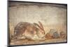 Italy, Naples, Naples Museum, from Herculaneum, House of Stag, Rabbit and Figs-Samuel Magal-Mounted Photographic Print
