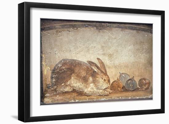 Italy, Naples, Naples Museum, from Herculaneum, House of Stag, Rabbit and Figs-Samuel Magal-Framed Photographic Print