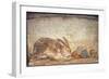 Italy, Naples, Naples Museum, from Herculaneum, House of Stag, Rabbit and Figs-Samuel Magal-Framed Photographic Print