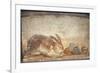 Italy, Naples, Naples Museum, from Herculaneum, House of Stag, Rabbit and Figs-Samuel Magal-Framed Photographic Print