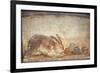 Italy, Naples, Naples Museum, from Herculaneum, House of Stag, Rabbit and Figs-Samuel Magal-Framed Photographic Print