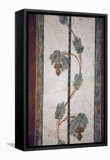 Italy, Naples, Naples Museum, from Pompeii, Compartment with White Background-Samuel Magal-Framed Stretched Canvas