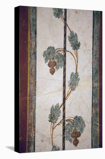 Italy, Naples, Naples Museum, from Pompeii, Compartment with White Background-Samuel Magal-Stretched Canvas