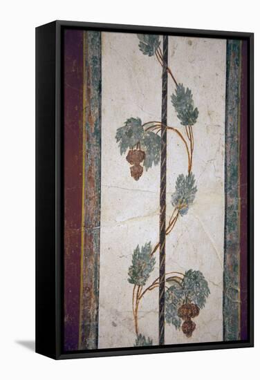 Italy, Naples, Naples Museum, from Pompeii, Compartment with White Background-Samuel Magal-Framed Stretched Canvas