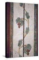 Italy, Naples, Naples Museum, from Pompeii, Compartment with White Background-Samuel Magal-Stretched Canvas
