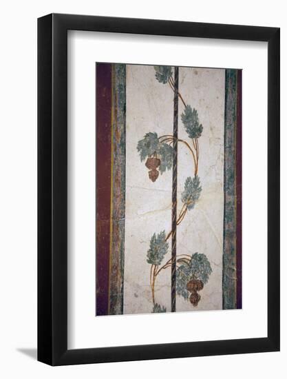 Italy, Naples, Naples Museum, from Pompeii, Compartment with White Background-Samuel Magal-Framed Photographic Print