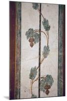 Italy, Naples, Naples Museum, from Pompeii, Compartment with White Background-Samuel Magal-Mounted Photographic Print