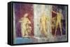 Italy, Naples, Naples Museum, from Pompeii, House of Diodcuri, Massacre of Niobids-Samuel Magal-Framed Stretched Canvas