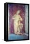 Italy, Naples, Naples Museum, from Pompeii, House of Diodcuri, Massacre of Niobids-Samuel Magal-Framed Stretched Canvas