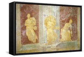 Italy, Naples, Naples Museum, from Pompeii, House of Diodcuri, Massacre of Niobids-Samuel Magal-Framed Stretched Canvas