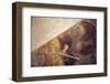 Italy, Naples, Naples Museum, from Pompeii, House of Diodcuri (VI 9, 6-7), Achilles-Samuel Magal-Framed Photographic Print