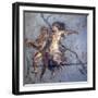 Italy, Naples, Naples Museum, from Pompeii, House of Diodcuri (VI 9, 6-7), Couple In Flight-Samuel Magal-Framed Photographic Print