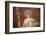 Italy, Naples, Naples Museum, from Pompeii, House of Diodcuri (VI 9, 6-7), Saturn-Samuel Magal-Framed Photographic Print