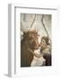 Italy, Naples, Naples Museum, from Pompeii, House of Fatal Love  (IX, 5,18), Europa riding a Bull-Samuel Magal-Framed Photographic Print