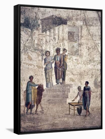 Italy, Naples, Naples Museum, from Pompeii, House of Fatal Love  (IX, 5,18), Jason and Pelias-Samuel Magal-Framed Stretched Canvas