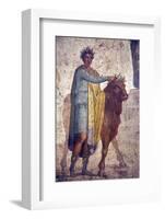Italy, Naples, Naples Museum, from Pompeii, House of Fatal Love  (IX, 5,18), Jason and Pelias-Samuel Magal-Framed Photographic Print