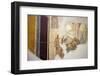 Italy, Naples, Naples Museum, from Pompeii, House of Giuseppe II (VIII 2,39), Sofonisba's Death-Samuel Magal-Framed Photographic Print