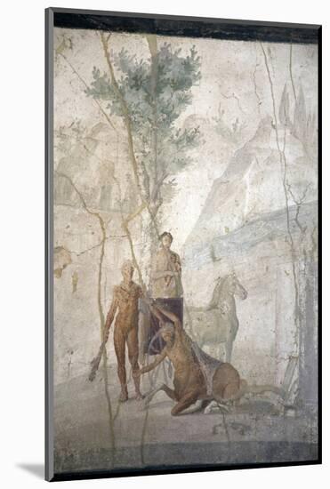 Italy, Naples, Naples Museum, from Pompeii, House of Jason (IX 5, 18), Heracles and Centaur-Samuel Magal-Mounted Photographic Print