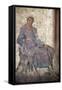 Italy, Naples, Naples Museum, from Pompeii, House of Jason (IX 5, 18), Paris and Elena-Samuel Magal-Framed Stretched Canvas