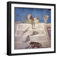 Italy, Naples, Naples Museum, from Pompeii, House of Julia Felix (II 2, 4), Dionysian Attributes-Samuel Magal-Framed Photographic Print