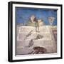 Italy, Naples, Naples Museum, from Pompeii, House of Julia Felix (II 2, 4), Dionysian Attributes-Samuel Magal-Framed Photographic Print