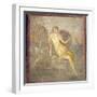 Italy, Naples, Naples Museum, from Pompeii, House of Meleager (VI 9, 2.13), Teti-Samuel Magal-Framed Photographic Print