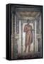 Italy, Naples, Naples Museum, from Pompeii, House of Meleager (VI 9), Stucco Policromo (Polychrome)-Samuel Magal-Framed Stretched Canvas