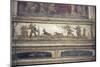 Italy, Naples, Naples Museum, from Pompeii, House of Meleager (VI 9), Stucco Policromo (Polychrome)-Samuel Magal-Mounted Photographic Print
