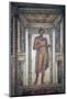 Italy, Naples, Naples Museum, from Pompeii, House of Meleager (VI 9), Stucco Policromo (Polychrome)-Samuel Magal-Mounted Photographic Print