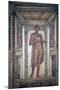 Italy, Naples, Naples Museum, from Pompeii, House of Meleager (VI 9), Stucco Policromo (Polychrome)-Samuel Magal-Mounted Photographic Print