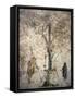 Italy, Naples, Naples Museum, from Pompeii, VI Insula Occidentalis, 41, Cubical 17, Offer-Samuel Magal-Framed Stretched Canvas