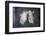 Italy, Naples, Naples Museum, from Pompeii, Villa of Cicerone, Dancer-Samuel Magal-Framed Premium Photographic Print