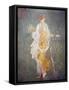 Italy, Naples, Naples Museum, from Stabia, Villa of Varanus or Ariadne, Flora (Khloris)-Samuel Magal-Framed Stretched Canvas