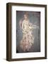 Italy, Naples, Naples Museum, from Stabia, Villa of Varanus or Ariadne, Leda and the Swan-Samuel Magal-Framed Photographic Print