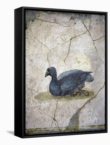 Italy, Naples, Naples Museum, from the Villa of Arianna in Stabiae, Crouching bird-Samuel Magal-Framed Stretched Canvas
